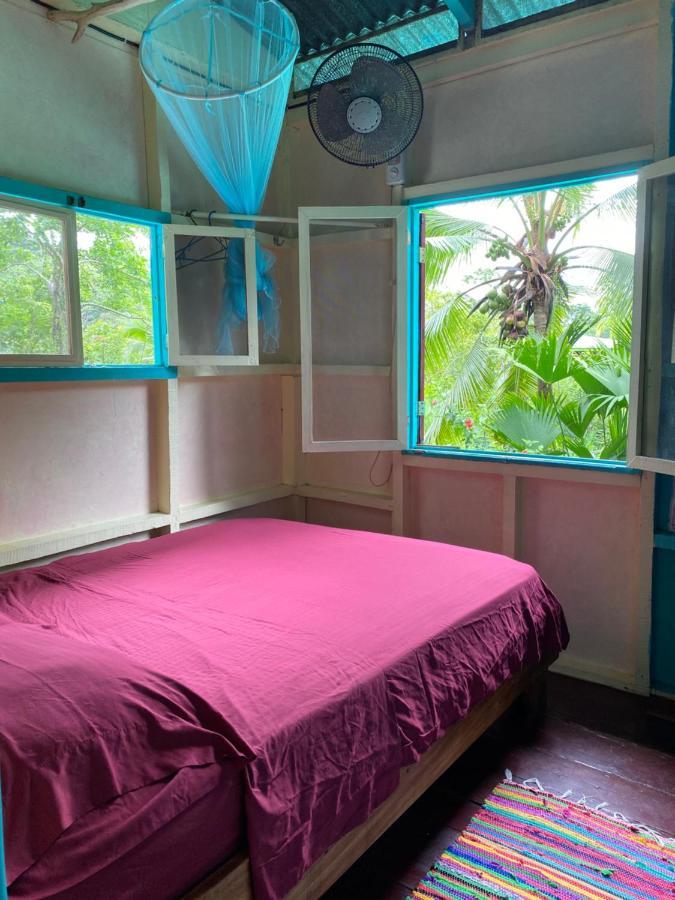 Hidden Jungle Beach House Puerto Viejo de Talamanca Exteriör bild