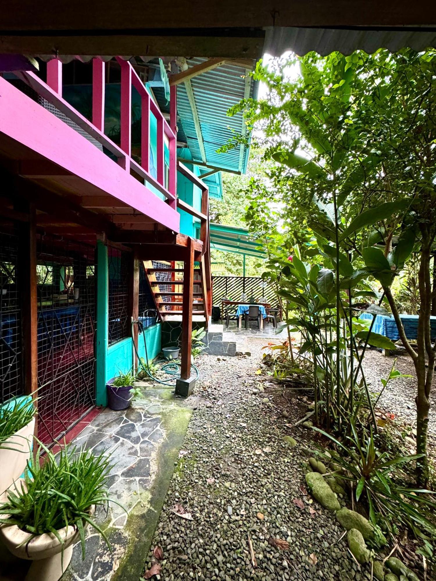 Hidden Jungle Beach House Puerto Viejo de Talamanca Exteriör bild