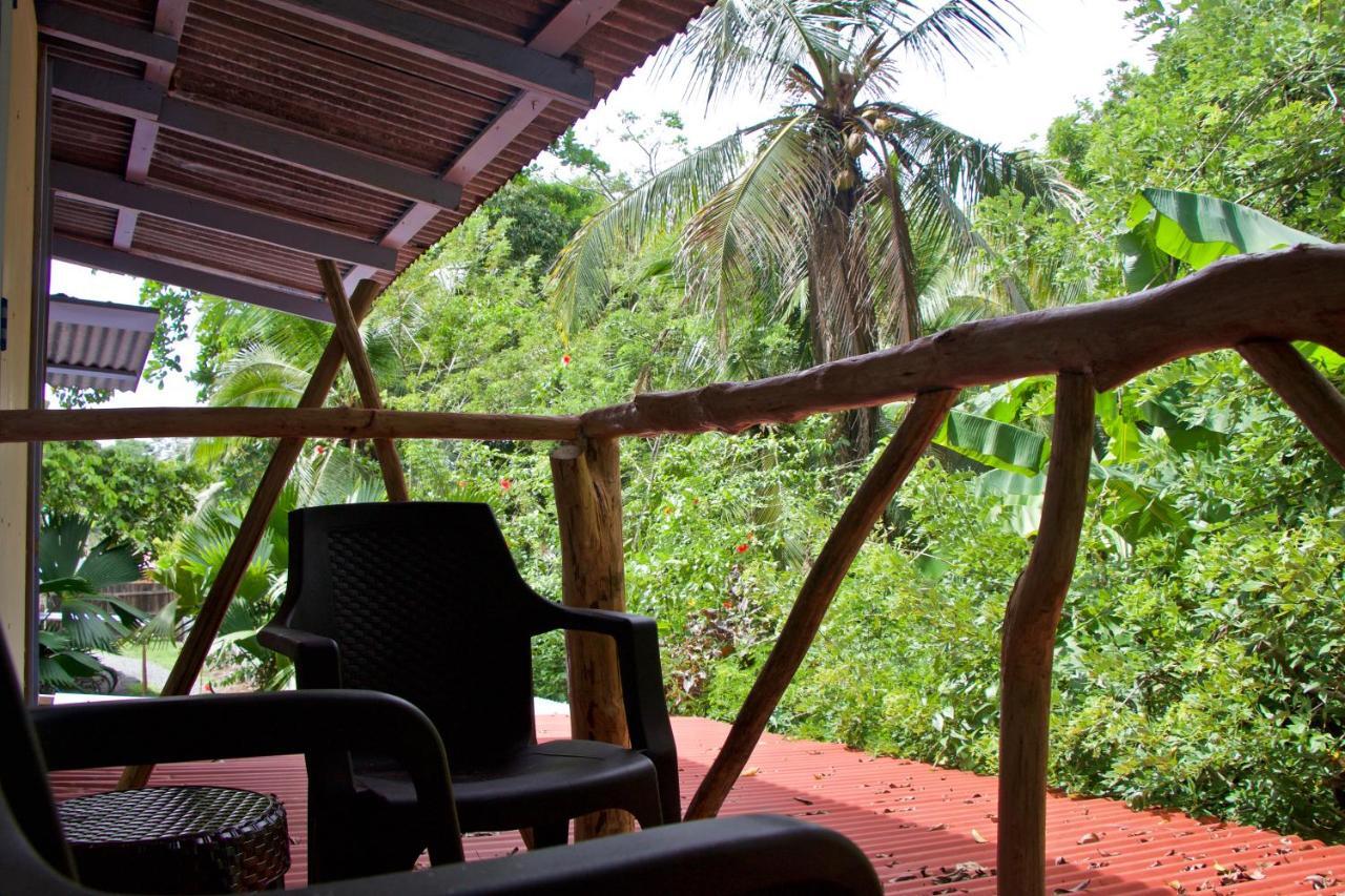 Hidden Jungle Beach House Puerto Viejo de Talamanca Exteriör bild